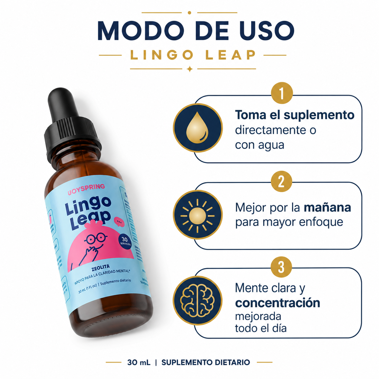 Lingo Leap - Guia de Uso 3 Pasos Ecuador