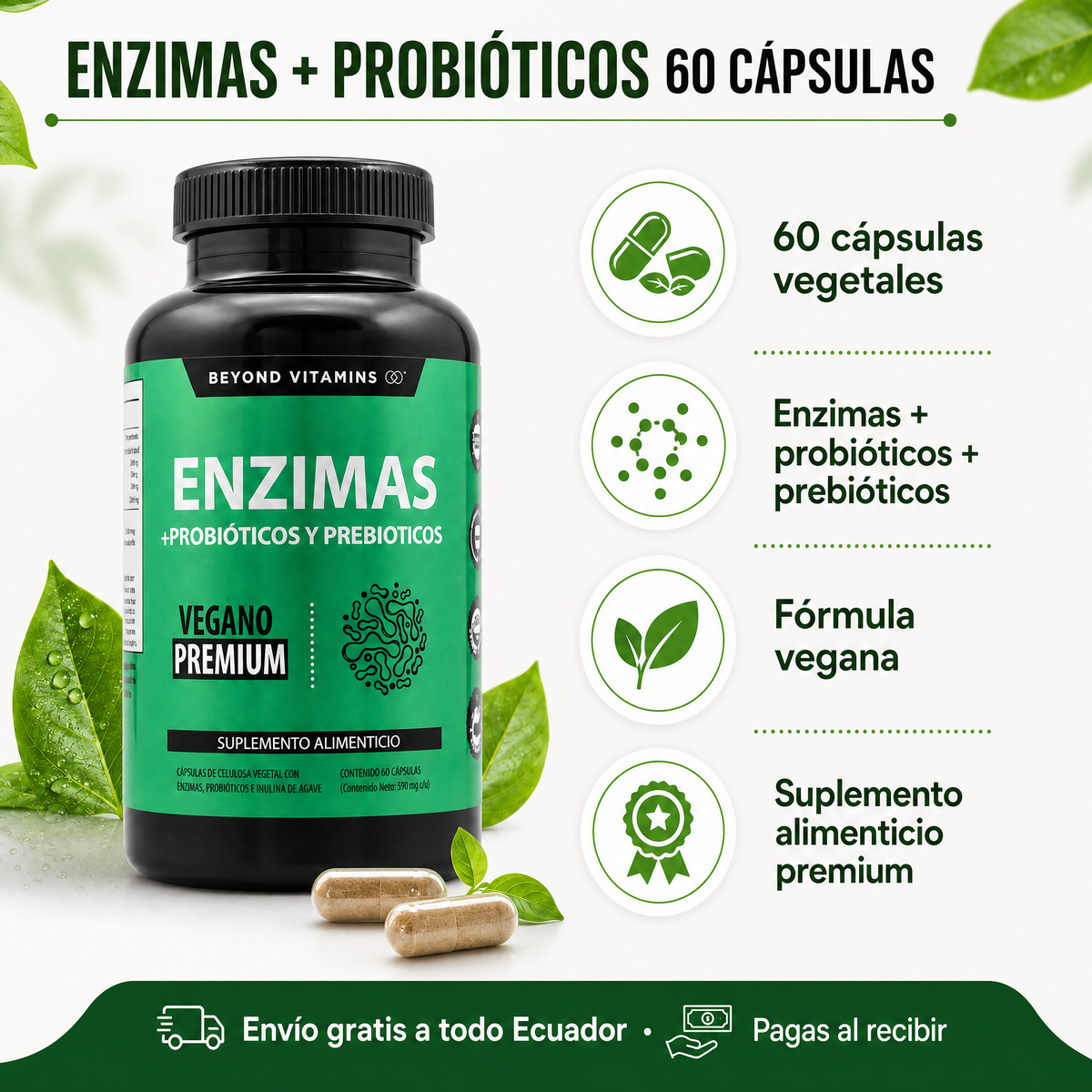 Enzimas Probióticos 60 Cápsulas - Infografía del producto