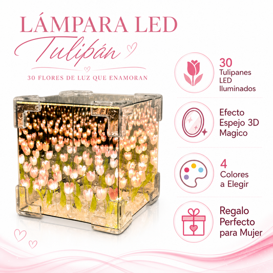 Lampara Tulipanes 30 Flores - Infografico Caracteristicas Regalo Ecuador