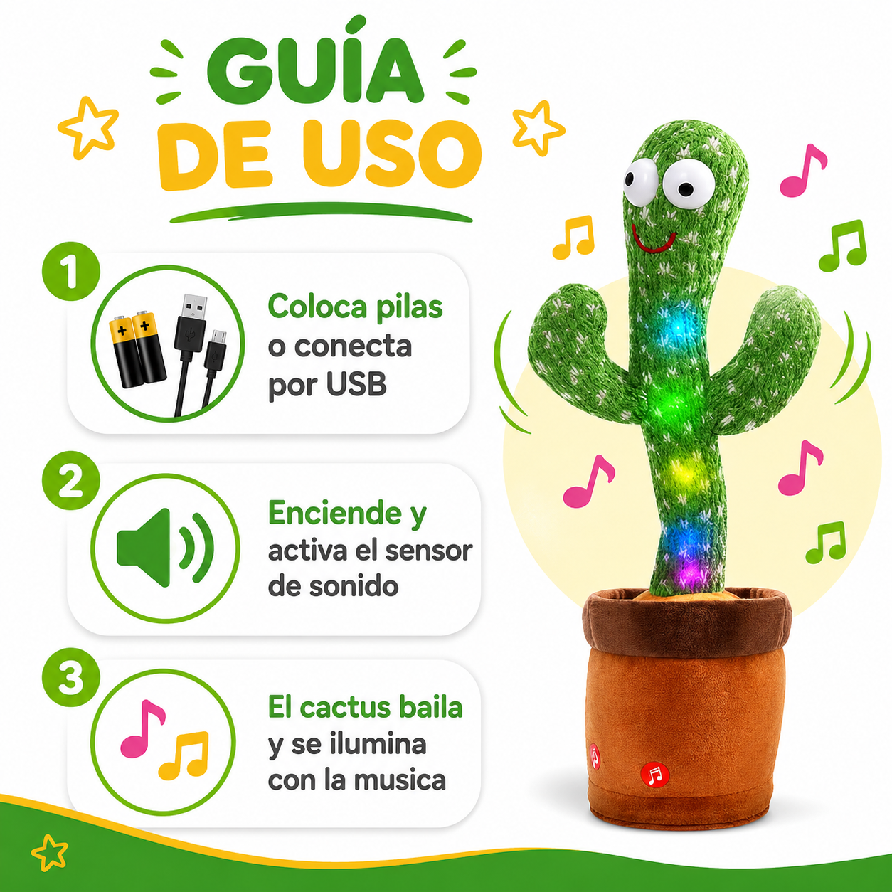 Cactus Bailarin - Guia de Uso 3 Pasos Ecuador