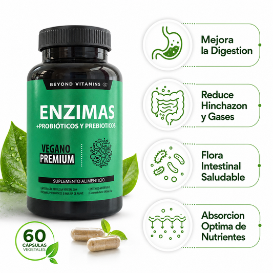 Enzimas Probioticos 60 Capsulas - Infografico Digestion Flora Intestinal Ecuador
