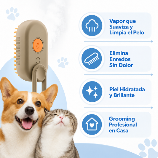 Cepillo Vapor Mascotas - Infografico Grooming Profesional Casa Ecuador