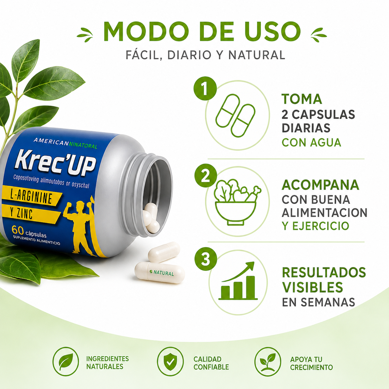 Krec'Up 60 Capsulas - Guia de Uso 3 Pasos Ecuador